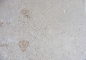 Travertine Dalmation Noce